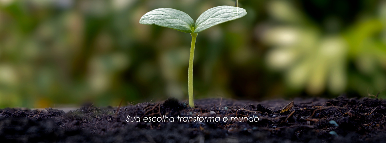 Banner 3